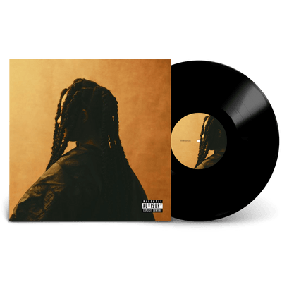 Vinyl - Tems - For Broken Ears