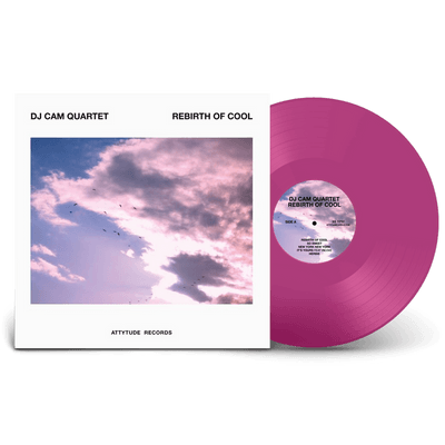 Vinyl - DJ CAM  - REBIRTH OF COOL