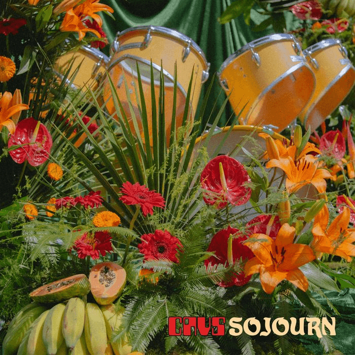 Vinyl - CAVS - Sojourn (hover)