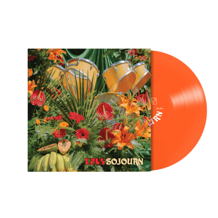 Vinyl - CAVS - Sojourn