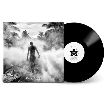 Vinyl - Rohan Houssein - L'Art & la Beauté