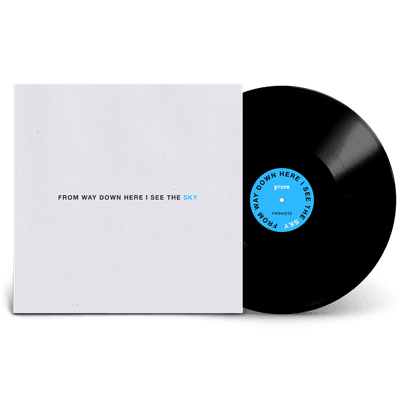 Vinyl - Preen - From Way Down Here I See the Sky