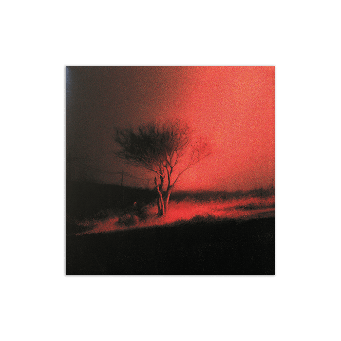 Digital - Joji - Piss In The Wind (Bonus Track Version)