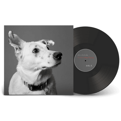 Vinyl - Jim Andralis - I Can't Stop Trying