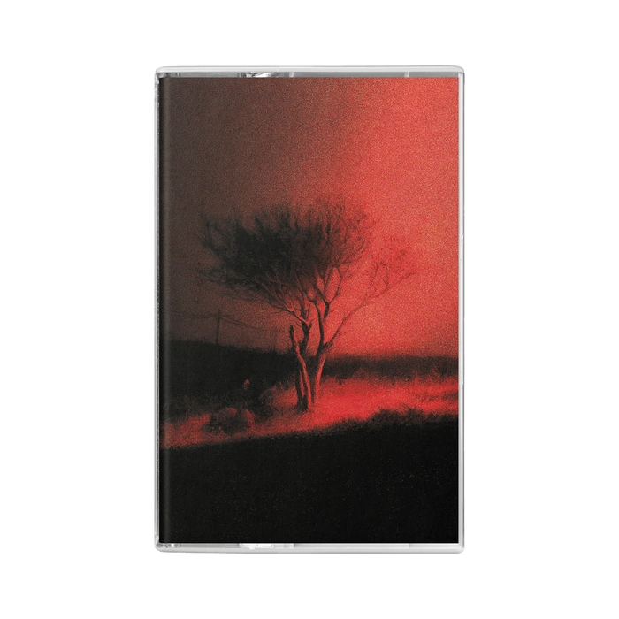 Piss In The Wind Cassette (Limited + Numbered)