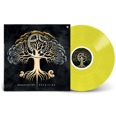 Vinyl -  Perfect Stranger -  Broadcasting & Receiving